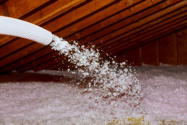 Best Specialized Insulation Services in Clisle, AR