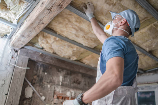 Best Eco-Friendly Insulation in Clisle, AR