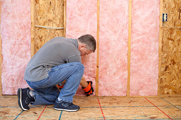 Best Insulation Maintenance and Repair in Clisle, AR