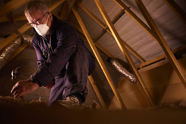 Best Cellulose Insulation in Clisle, AR